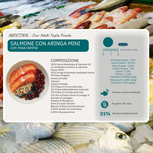 Crocchette Ancestral Salmone e Aringa MINI 51%